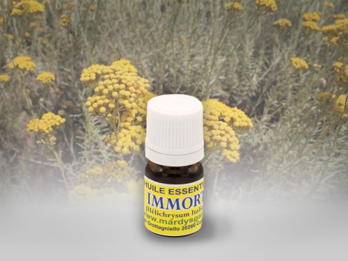 immortelle3ml