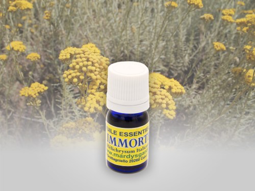 immortelle5ml6