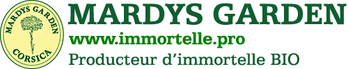 logo-boutique